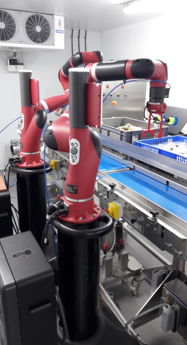 Robot in food industry for meal trays preparation