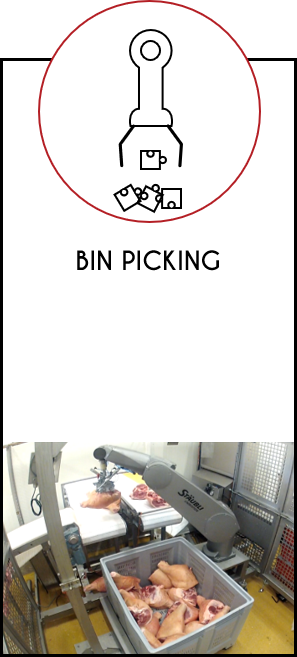 Bin picking